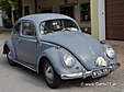 Teilnehmer - VW 11 1955